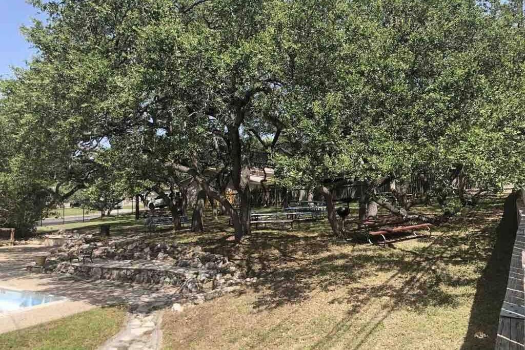Cyc Eclectic Back House With Bbq Gazebo Villa San Antonio Exterior photo